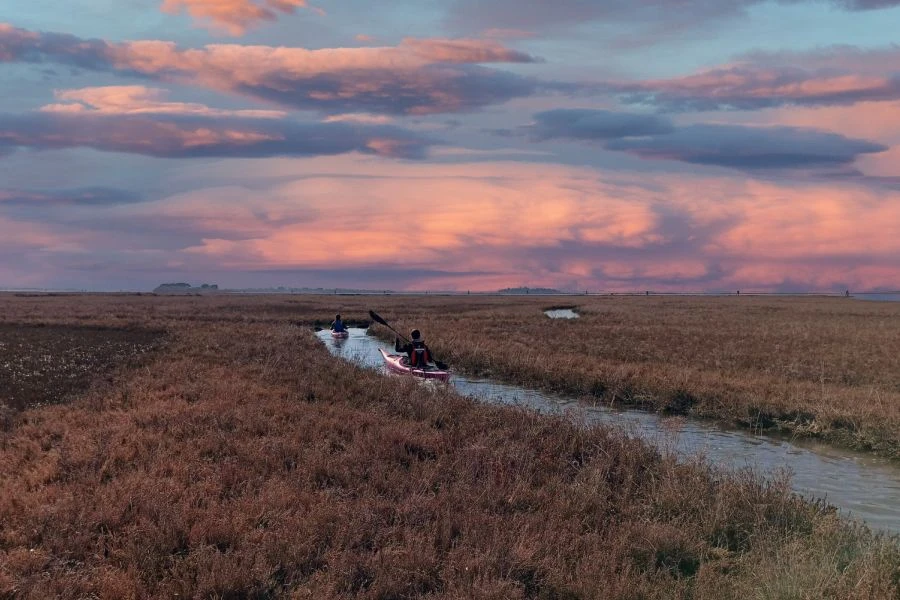 Kayak tour Cavallino - Treporti con guida